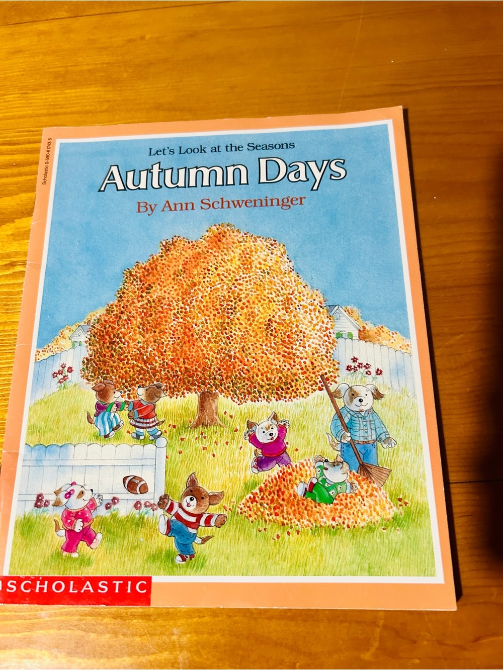 (3/$10) Scholastic Autumn Days Children's Book